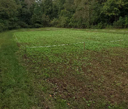 GB Food Plot