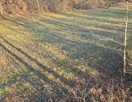 Ground Blind Plot