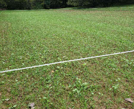 PS Food Plot