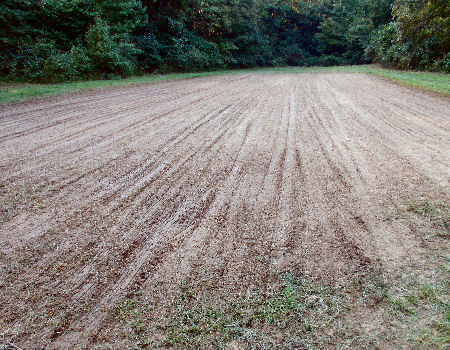 GB Food Plot