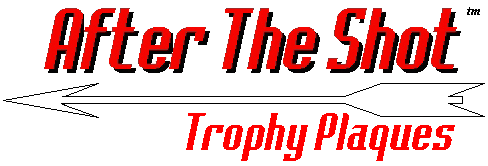After The Shot Trophy Plaques