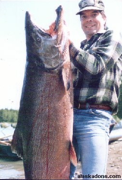 King Salmon