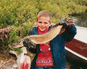 7 Pound Pike