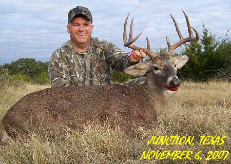 Texas Buck