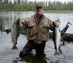 Silver Salmon