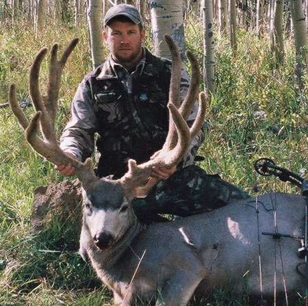 Colorado Mule Deer