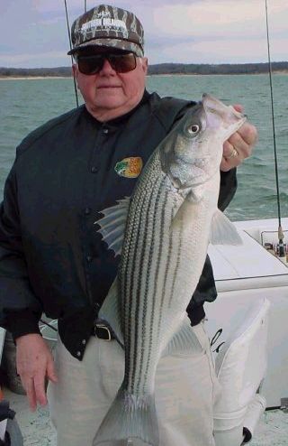 Texoma Striper