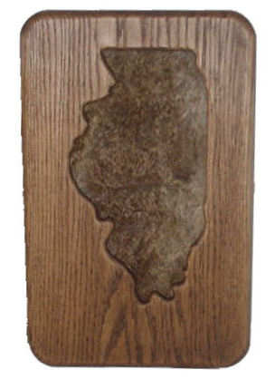 Illinois Touch 'n Trophy Plaque