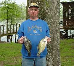 Reelfoot Lake Crappie