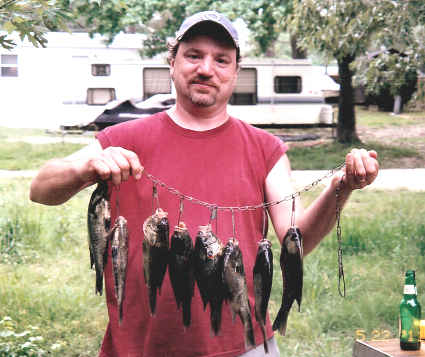 Kentucky Lake Redear