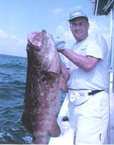 Huge Jewfish