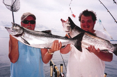 King Salmon & Brown Trout