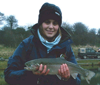 English Rainbow Trout