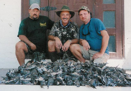 Mexican Dove Hunt