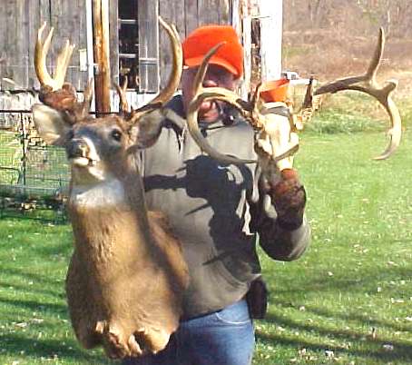 Kentucky Deer