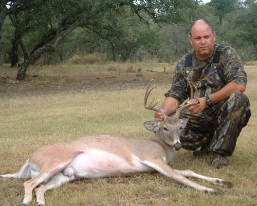 Texas Whitetail