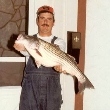 Striper