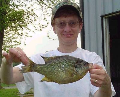 Big Bluegill!