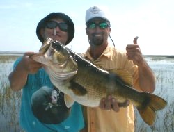 Monster Florida Bass