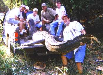 Gator Fishing