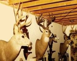 Trophy Room