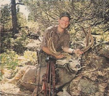 Mule Deer