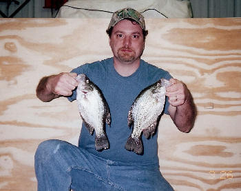 Crappie