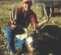 12 Point Mule Deer