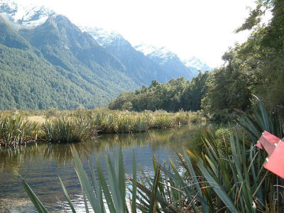 New Zealand Scenery