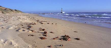 South Africa Coast Line